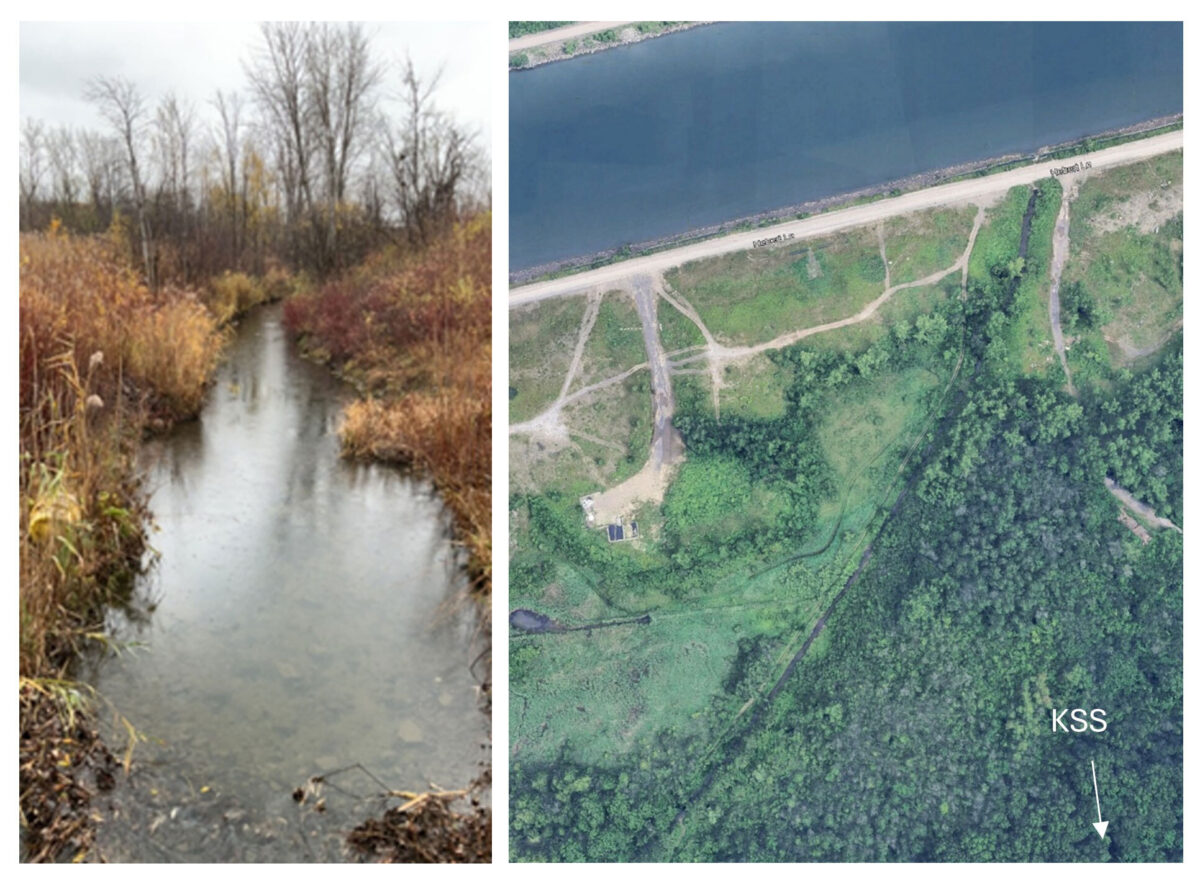 Aerial and terrestrial view of Suzanne River
