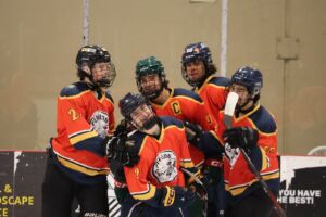 Players form the Eastern Door and the North celabrating on the ice