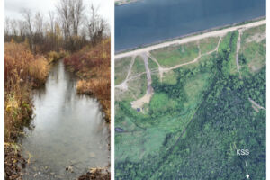Aerial and terrestrial view of Suzanne River
